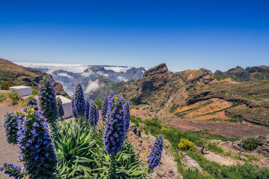 Ilha da Madeira Revista Habitare