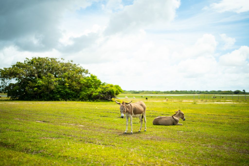 Lençóis Maranhenses Revista Habitare