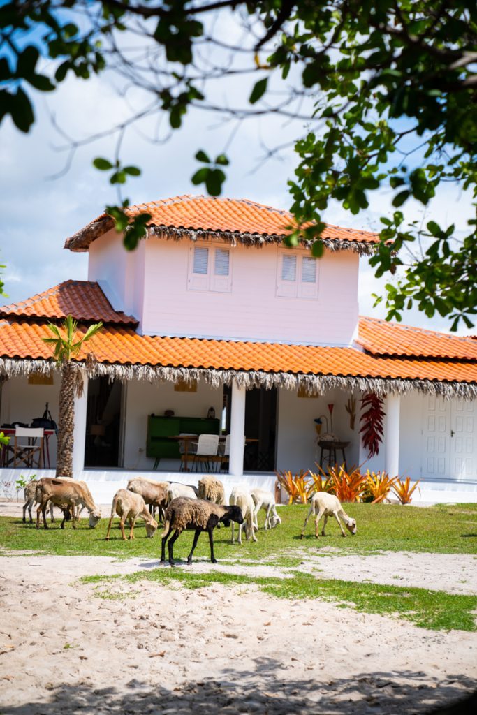 Lençóis Maranhenses Revista Habitare