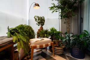 Plantas em apartamento revista Habitare